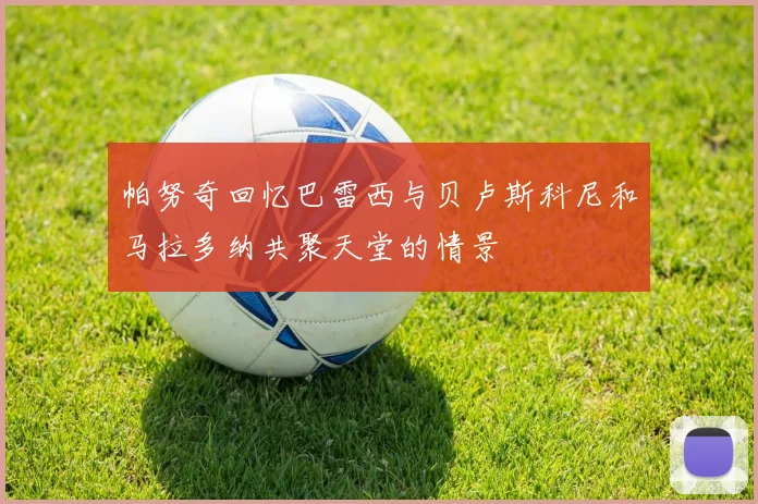 帕努奇回忆巴雷西与贝卢斯科尼和马拉多纳共聚天堂的情景